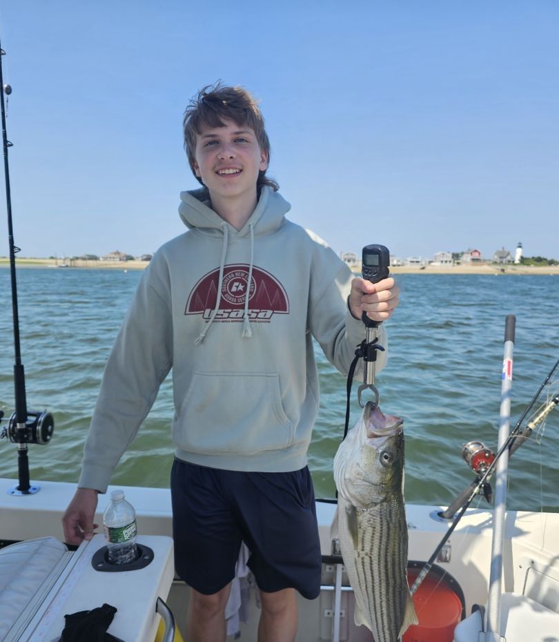 Striped bass caught while fishing
