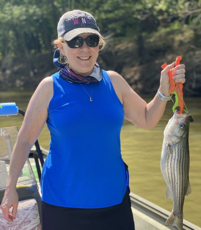 Freshly caught striped bass being held up after successful fishing trip