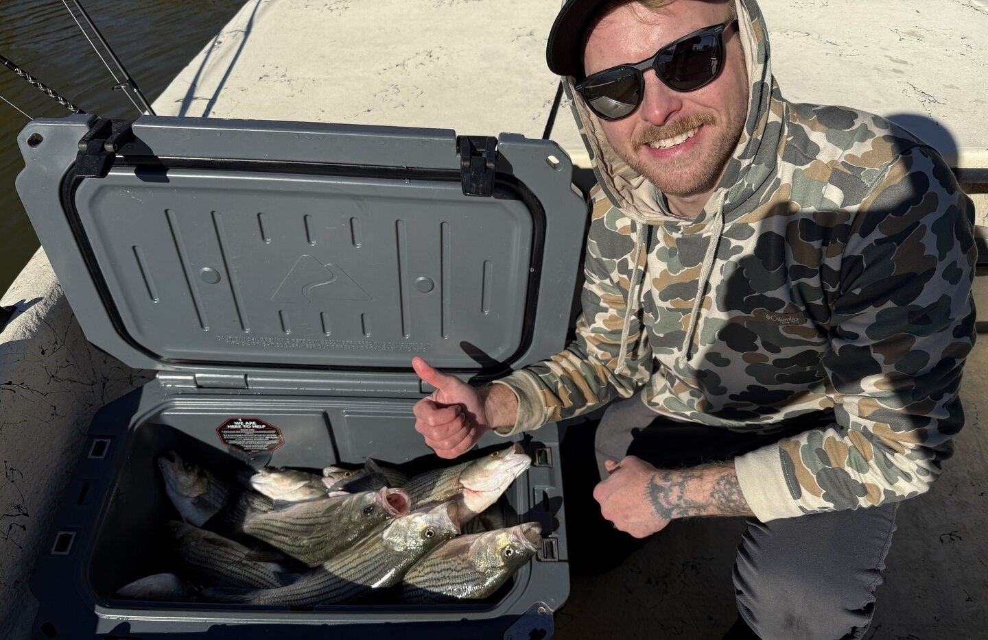Fresh caught striped bass displayed in cooler after successful fishing trip
