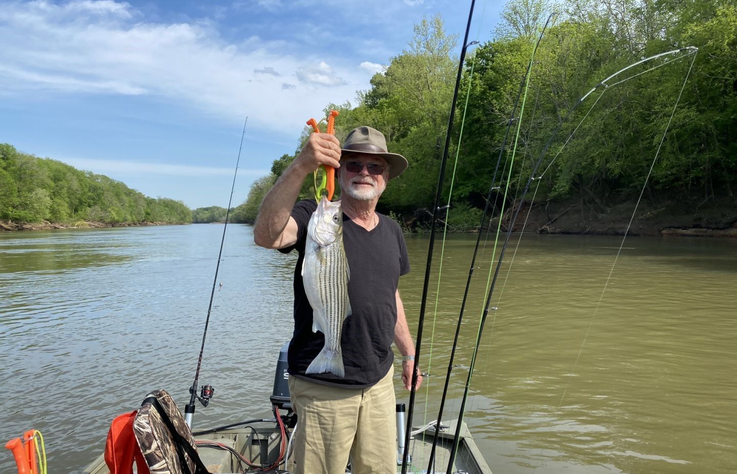 Striped bass catch displayed on fishing boat with multiple rods and river scenery
