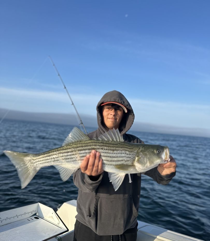 Striped bass caught while fishing on boat in open water