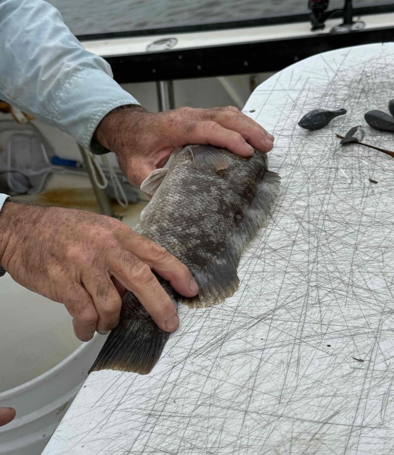 Fishing at an unknown location