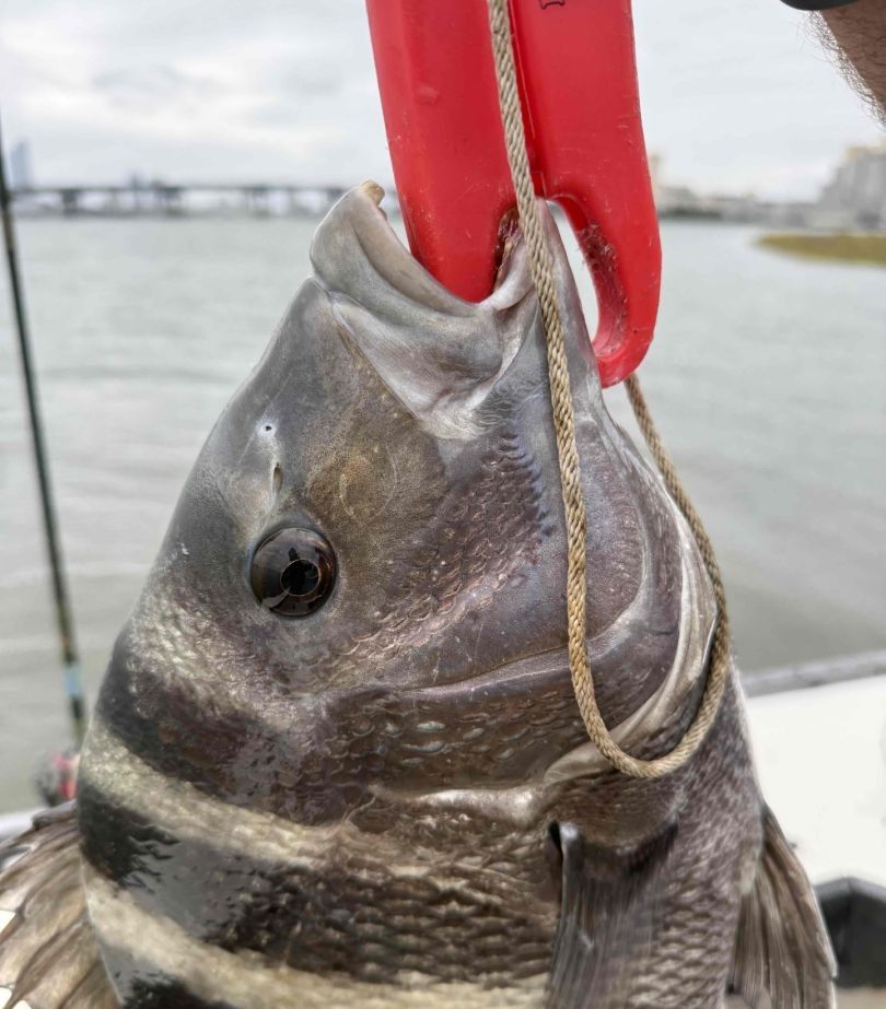 Fishing at unknown location