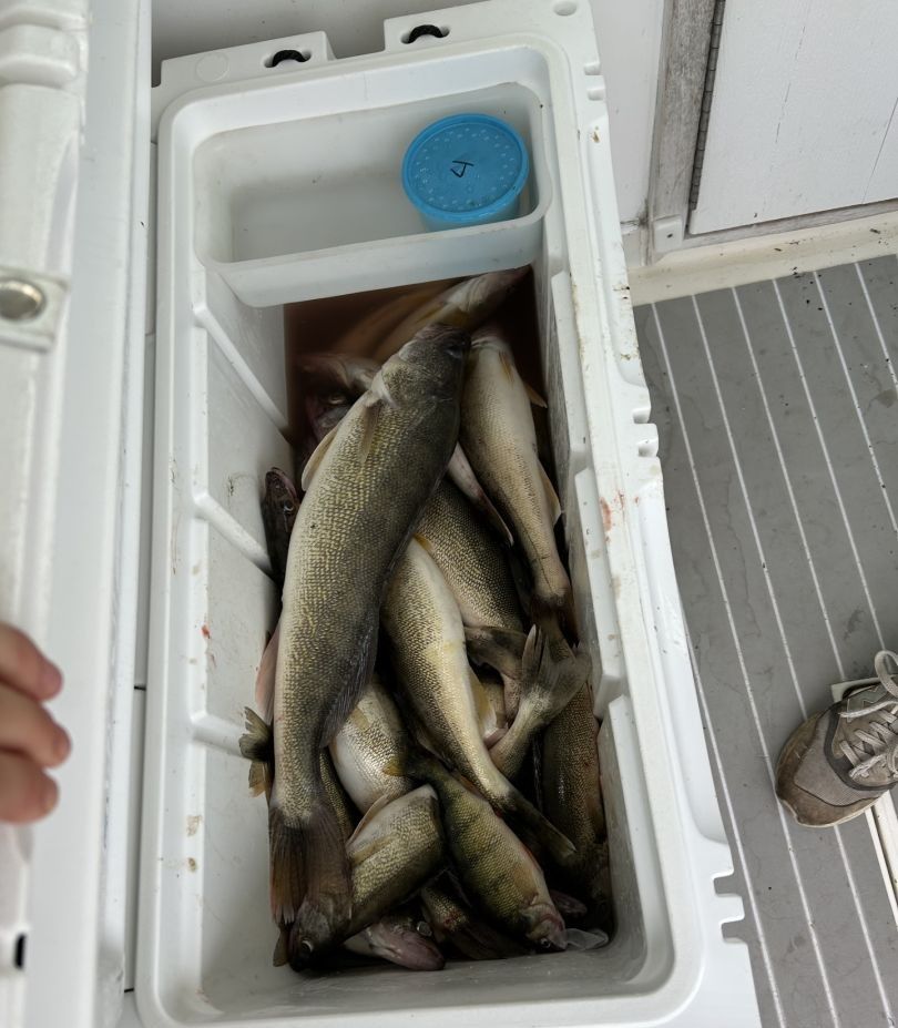 Fishing on unknown waters