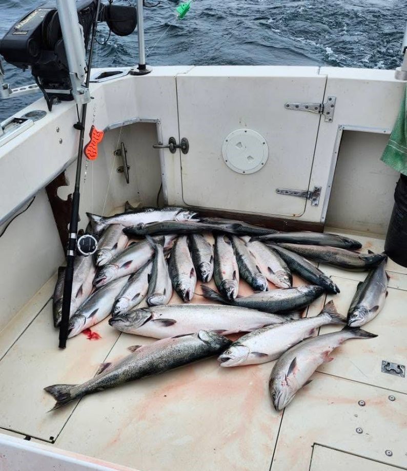 5 fish caught during a fishing trip
