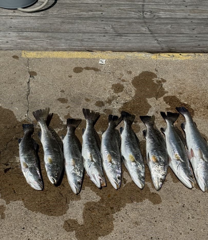 Fishing in unknown location with 7 fish