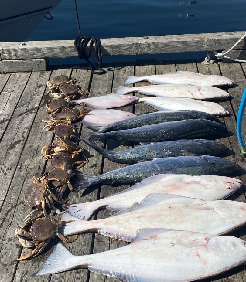 Five fish caught during a fishing trip at an unspecified location.