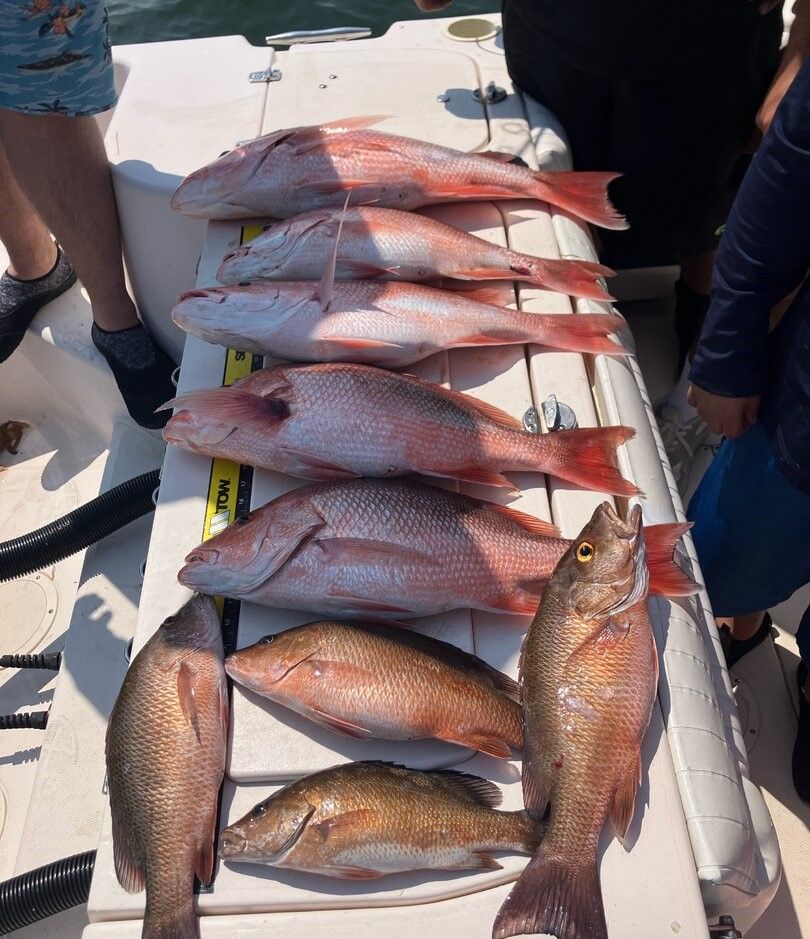 Great fishing trip with 8 fish caught