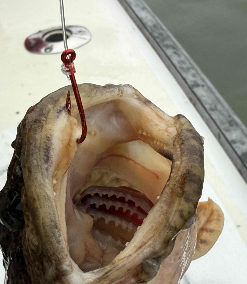 Fishing in an unknown location