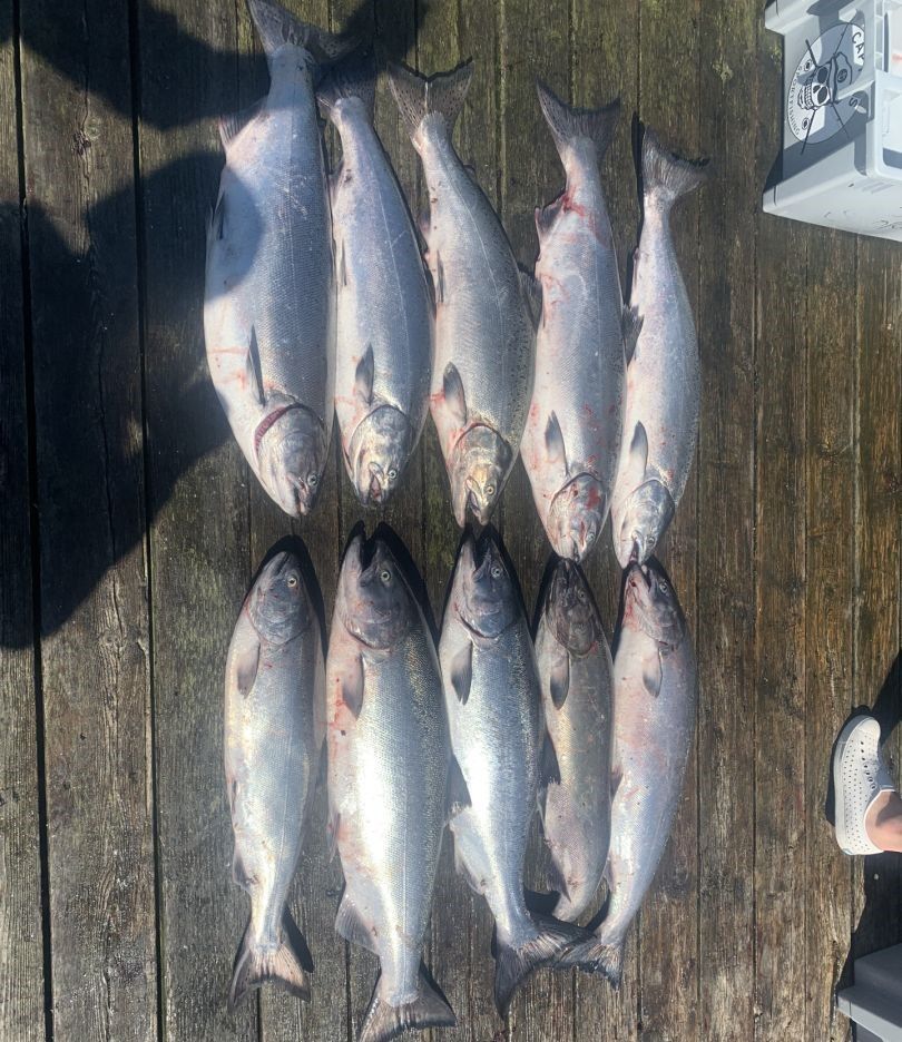 A fishing adventure with 9 blasted fish caught