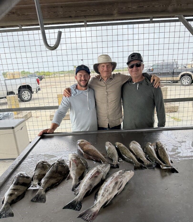 Fresh caught fish displayed on cleaning station after successful fishing trip