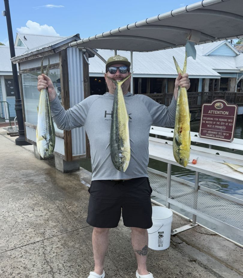 Cero Mackerel and Bluefish caught by a fisherman