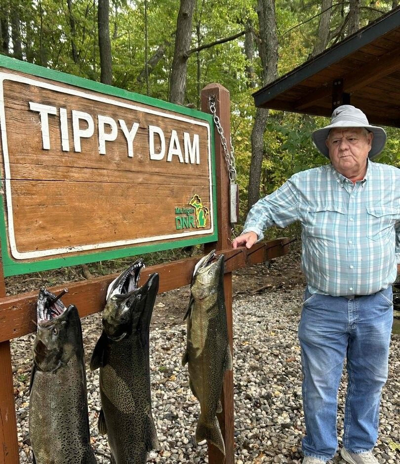 Three salmon displayed at Tippy Dam fishing location with angler standing beside wooden sign