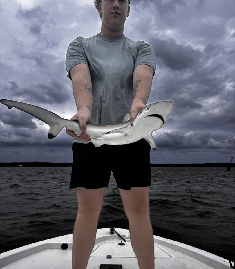 Successful solo fishing expedition