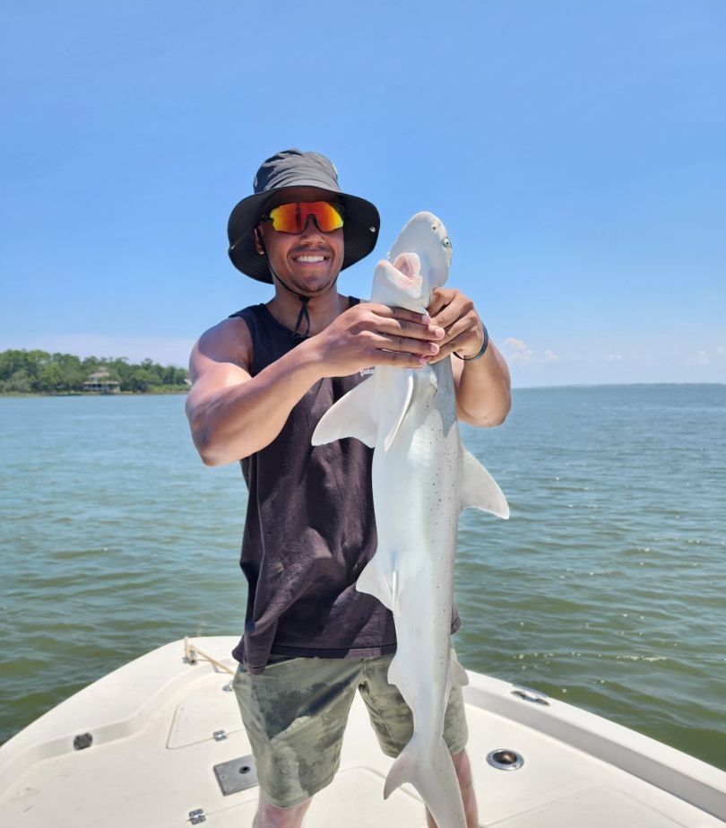 Whitetip reef sharks, fishing