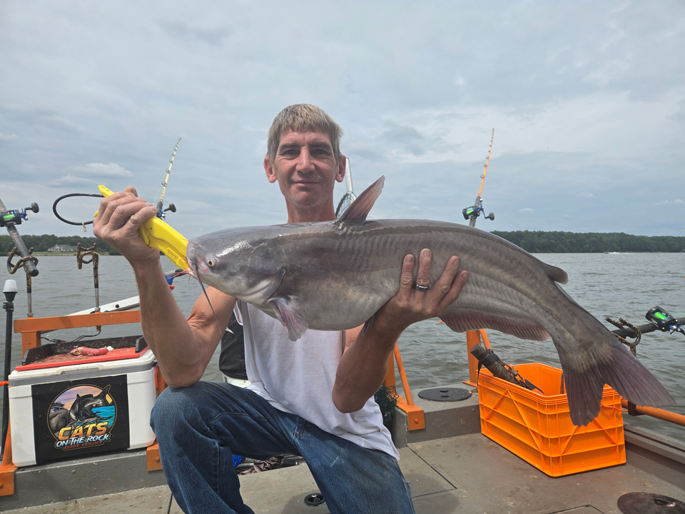 Huge 32-inch Blue Catfish reeled in during a partly cloudy day with rain!