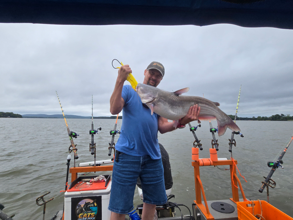 Reeling in a big Blue Catfish on a partly cloudy day!