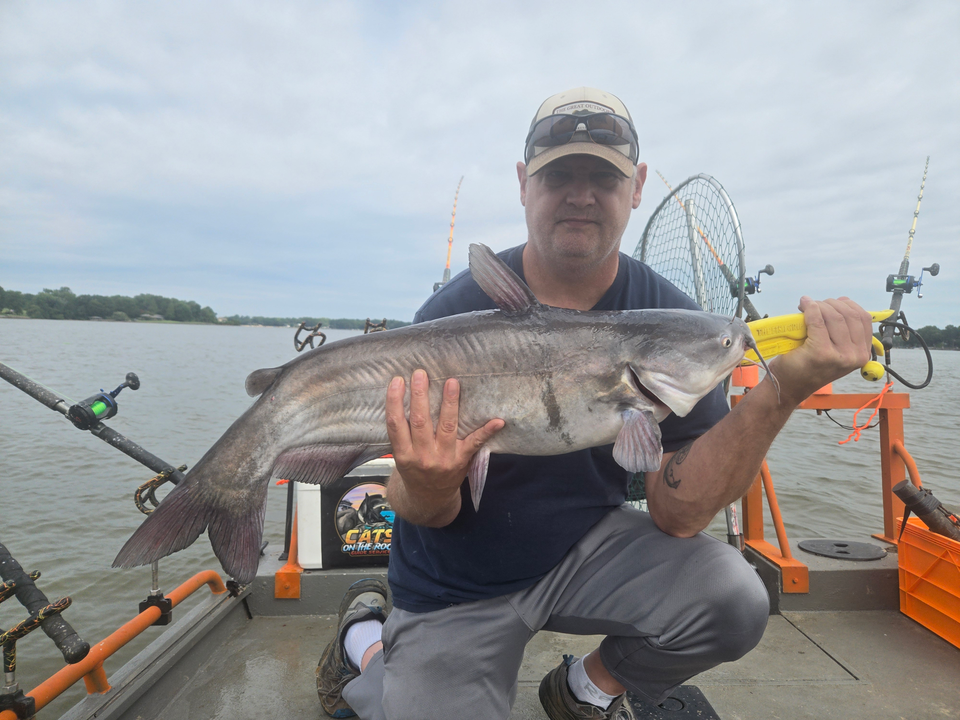 Reeling in a Blue Catfish on a partly cloudy day in Mocksville!