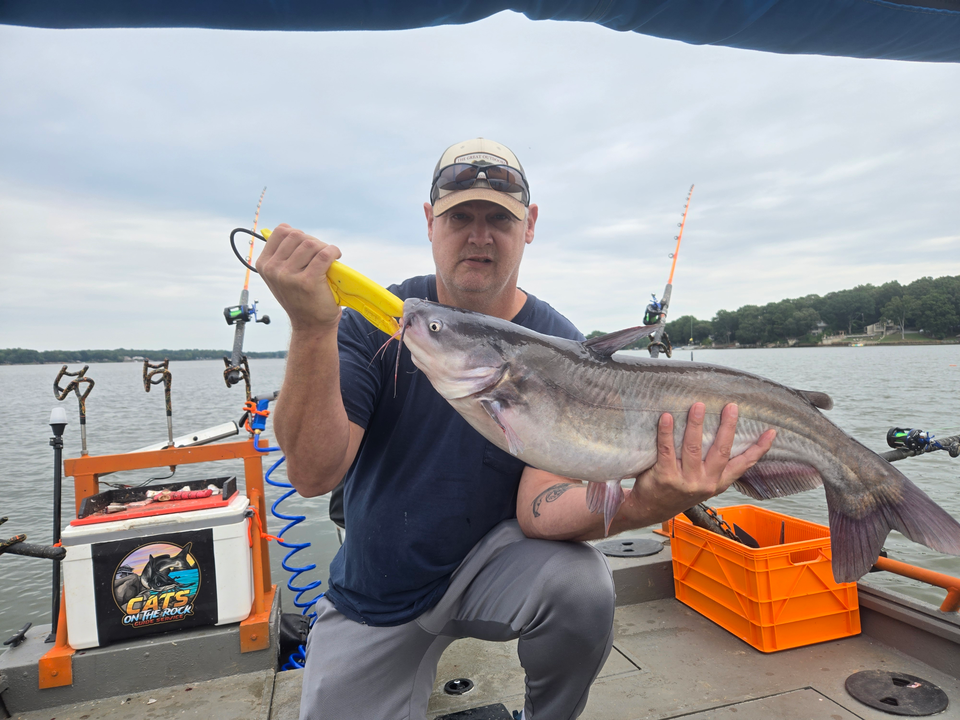 Huge Blue Catfish reeled in during a rainy day in Mocksville!