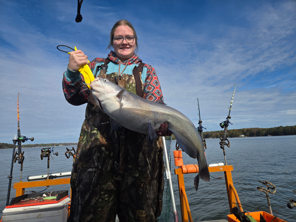 Nice blue catfish using trolling and bait casting techniques at Tamarac Marina!