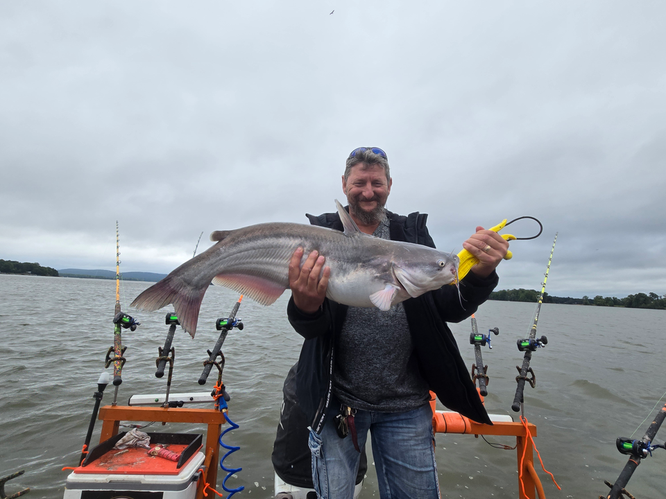 Huge Blue Catfish reeled in during a partly cloudy day!