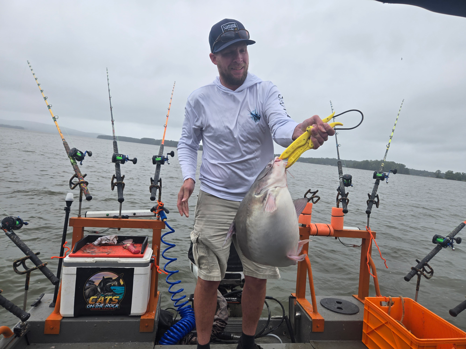 Reeling in a Blue Catfish while the clouds part at Tamarac Marina!