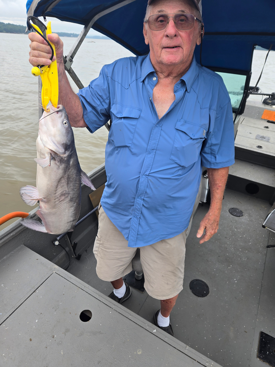 Trolling for treasure: Blue Catfish hooked at Tamarac Marina!