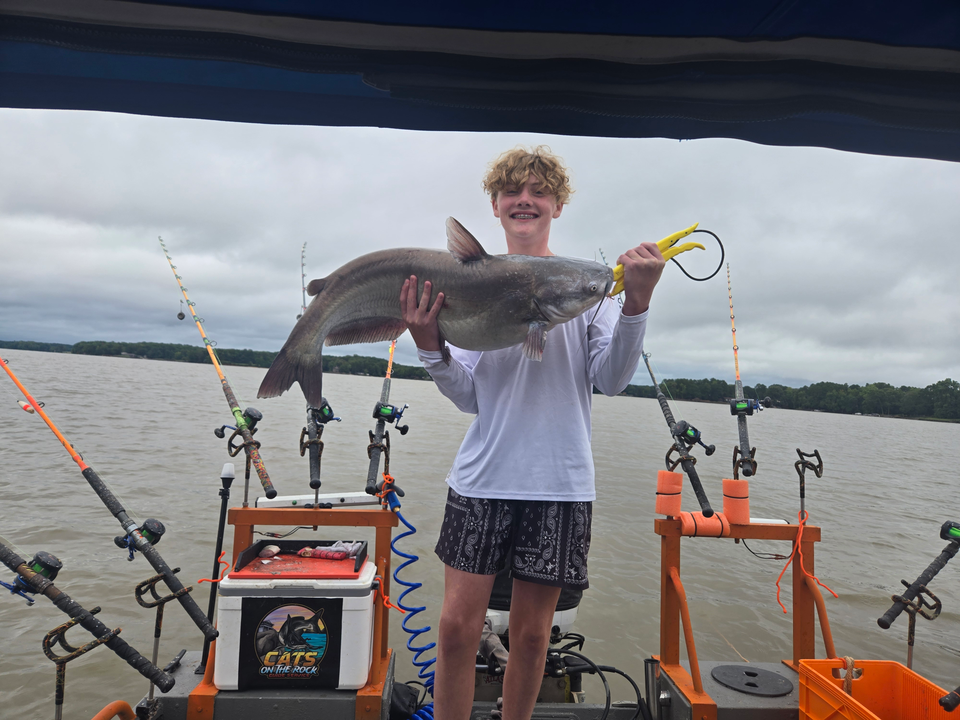 Huge 26-inch Blue Catfish caught while trolling at Tamarac Marina!