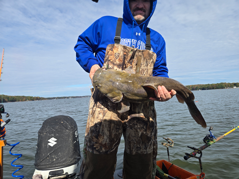 Nice flathead catfish using heavy tackle and bait casting techniques at Tamarac Marina!