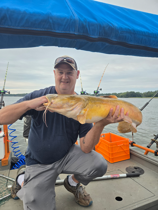 Reeling in a 20-inch Flathead Catfish through the rain!