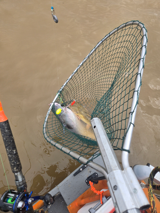 Rain or shine, the best fishing techniques are on display in Mocksville!