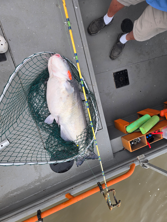 Storm's brewing, but the fishing's on fire at Tamarac Marina!