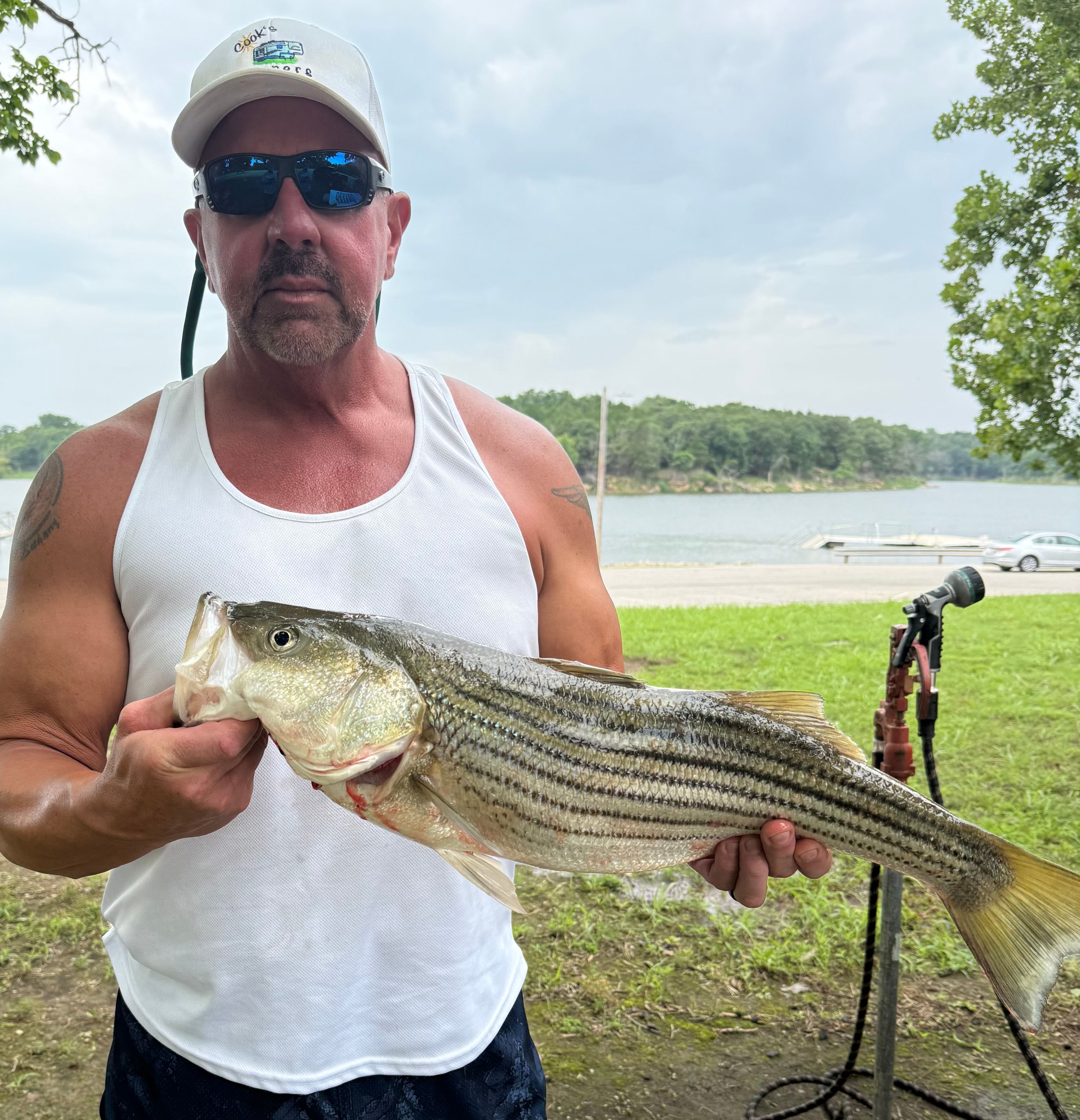 Freshly caught striped bass being held up displaying its distinctive horizontal stripes