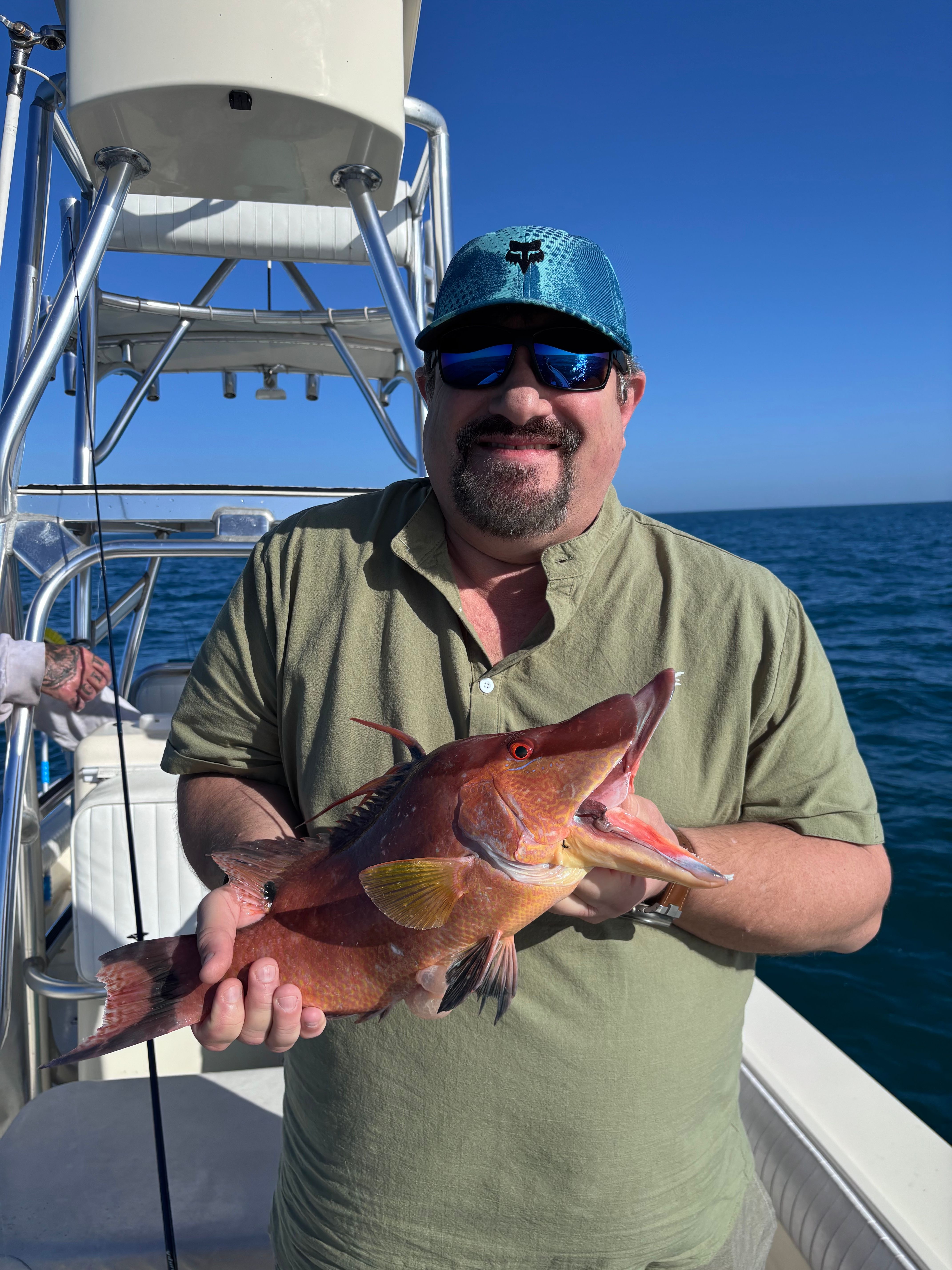 Freshly caught hogfish being held on fishing boat deck