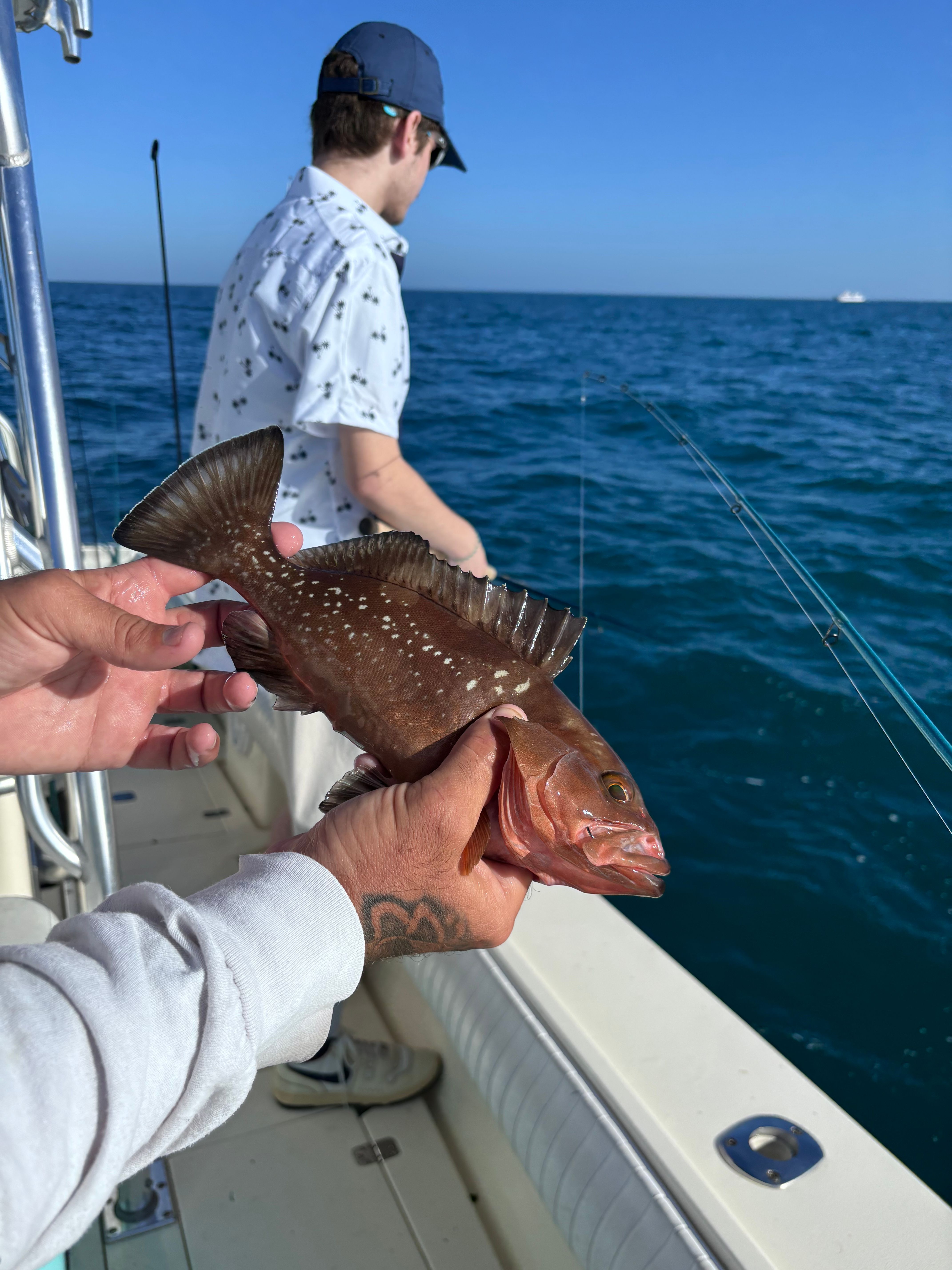 Red grouper being held on fishing boat over blue ocean water