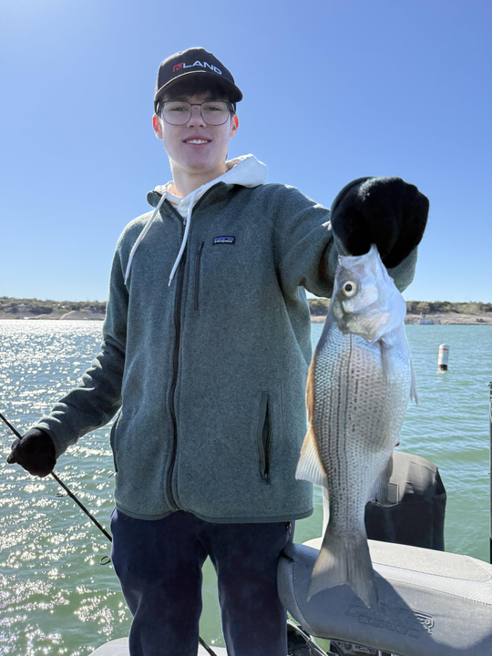 Reeled in a beauty on a sunny day by the lake!