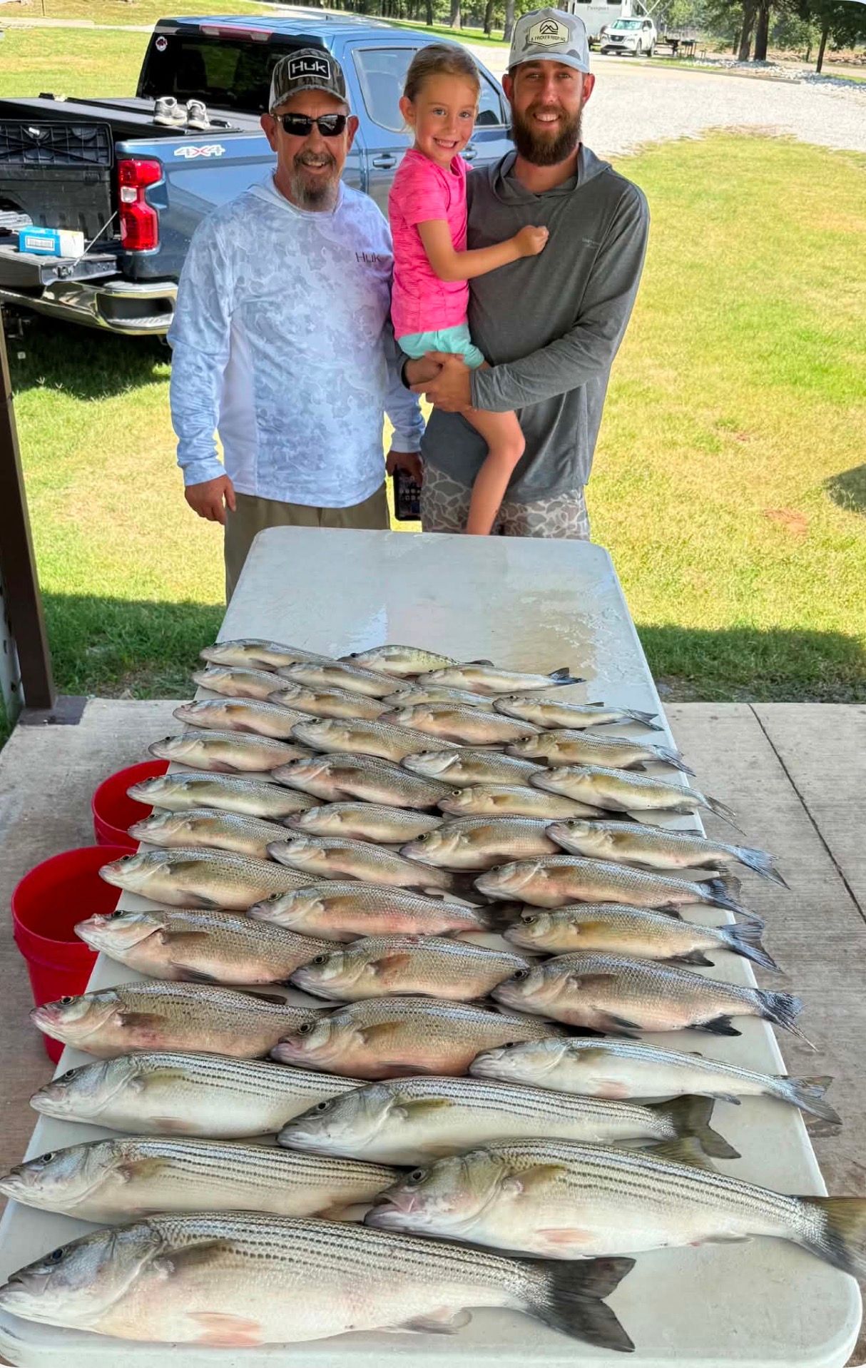 Large catch of striped bass and white perch displayed on cleaning table after successful fishing trip