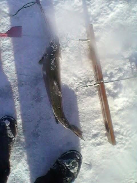 Fishing at an unknown location