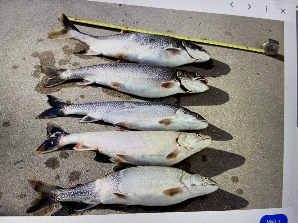 Absolutely blasted today with five lake trout before the afternoon rain hit!