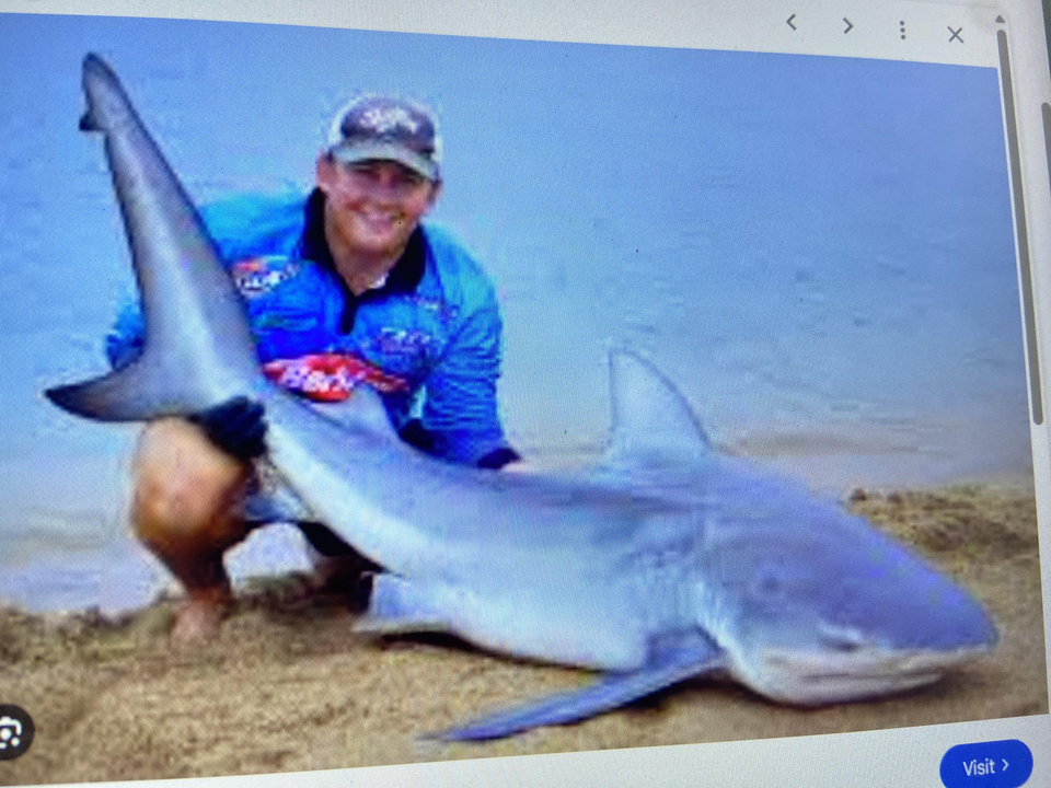 Huge shark caught right from the beach - what an incredible catch!