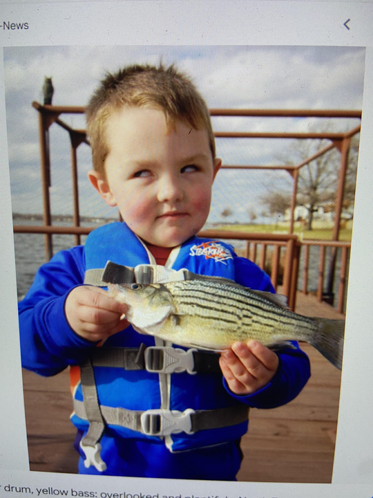 Reeling in the sunshine with a yellow bass in West Palm Beach!