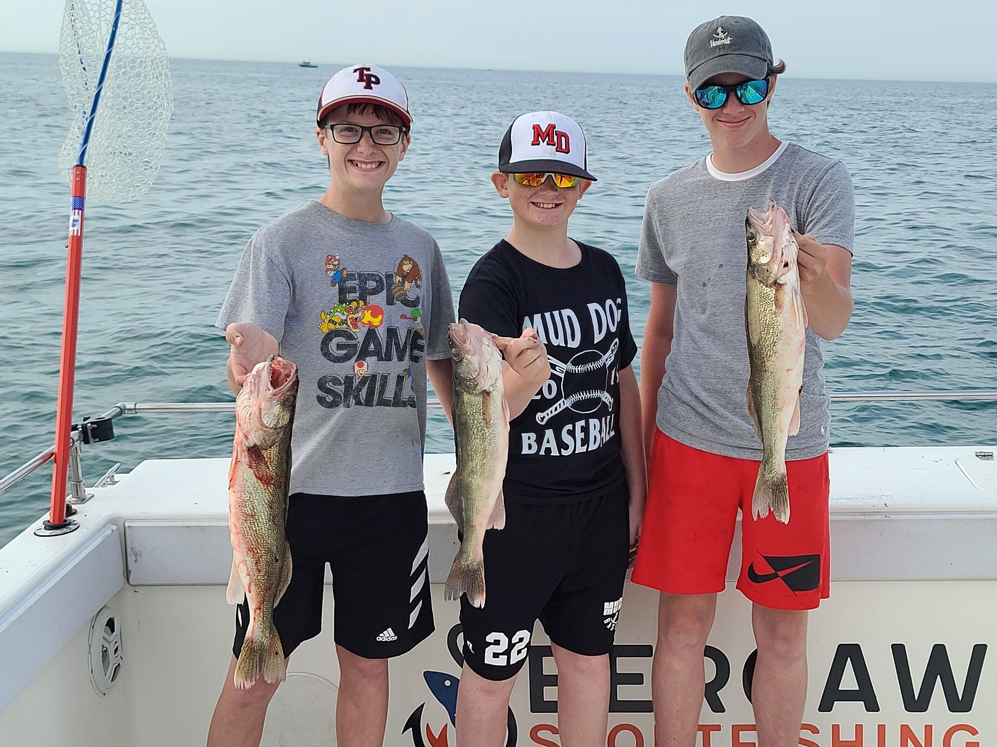 Three golden perch and walleye fish caught while fishing