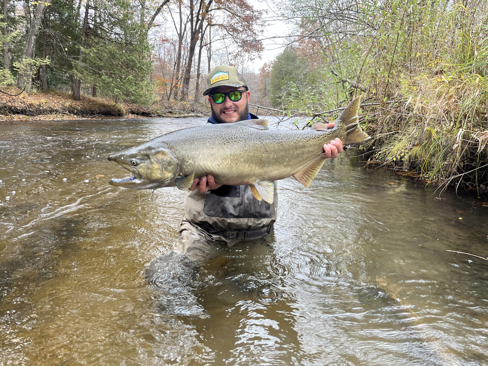 Nice salmon on the fly today! Clouds rolling in but the fish are biting.