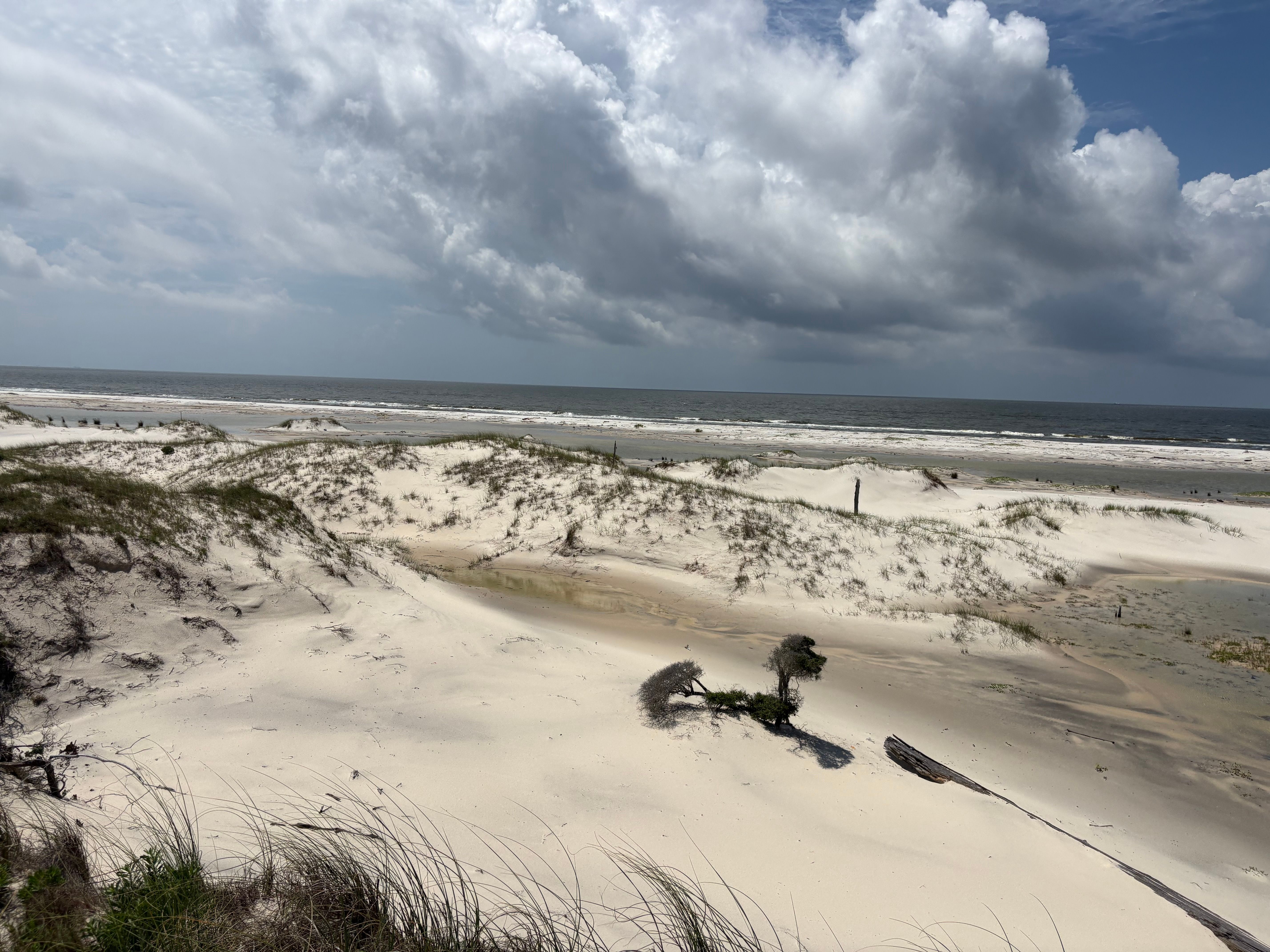 Coastal sand dunes with sparse vegetation overlooking ocean waves under cloudy sky