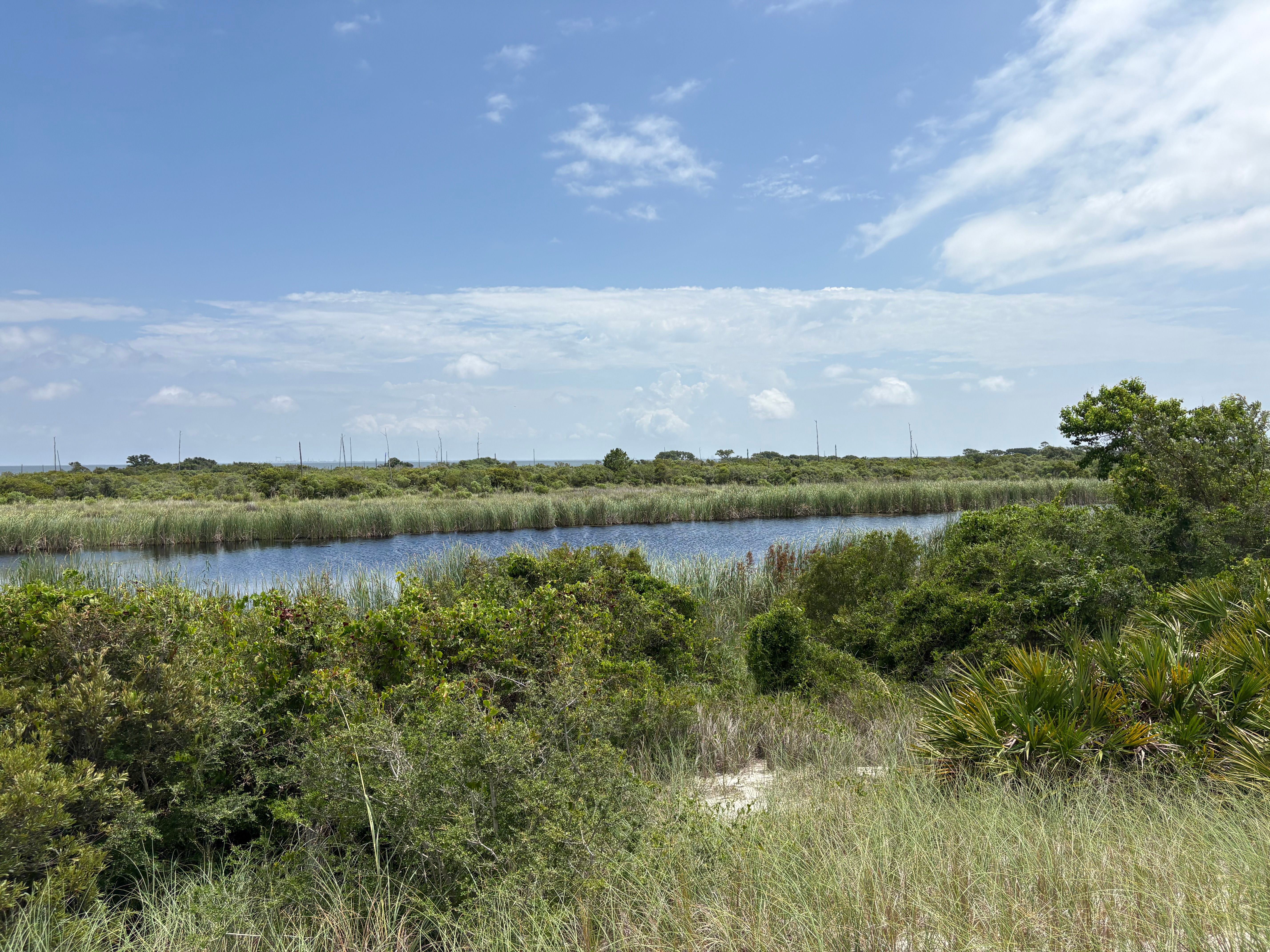Coastal wetland landscape with water channel surrounded by marsh grasses and vegetation under blue sky