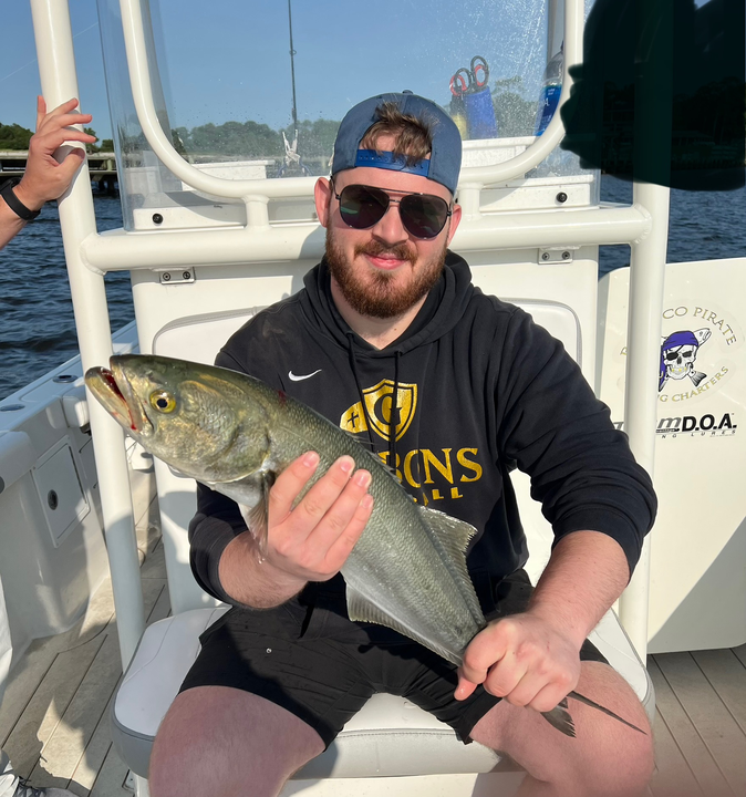 Hooked a feisty bluefish in the afternoon sun!