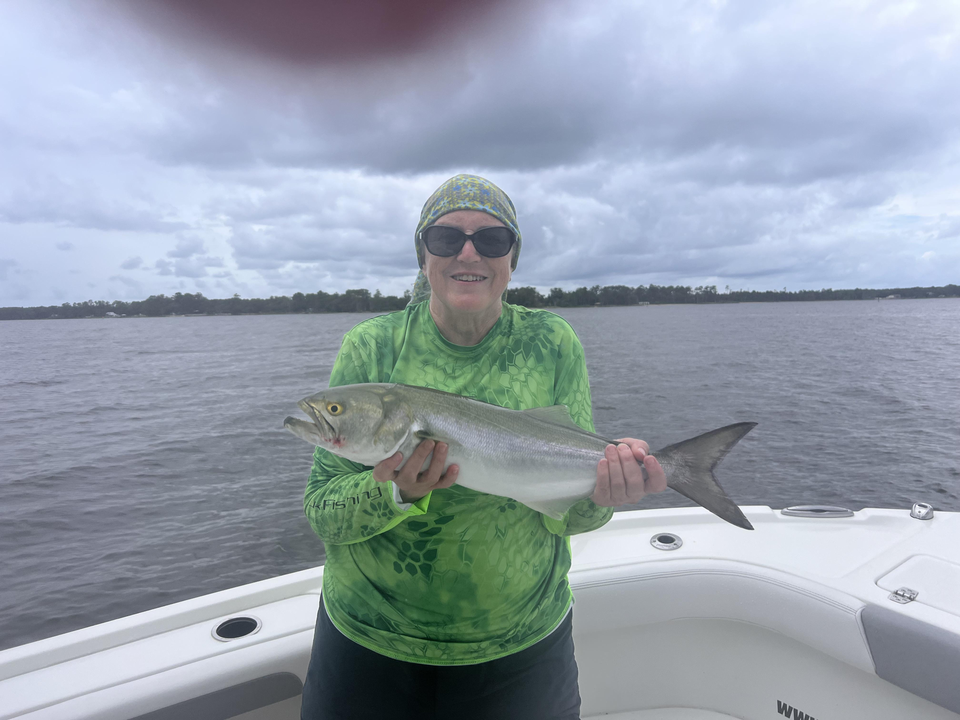 Light tackle triumph: A bluefish reeled in from Oriental's waters!