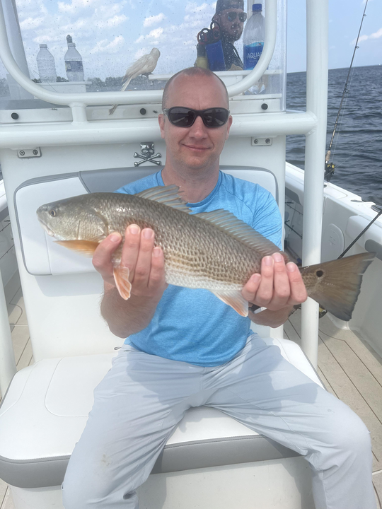 Hooked a feisty redfish with light tackle on a partly cloudy day in Minnesott Beach.