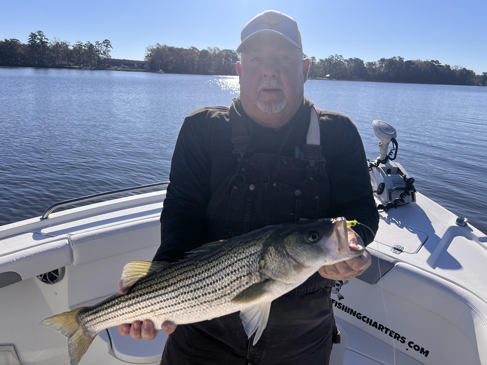 Nice striped bass on light tackle! Clear conditions made for an exciting adventure.