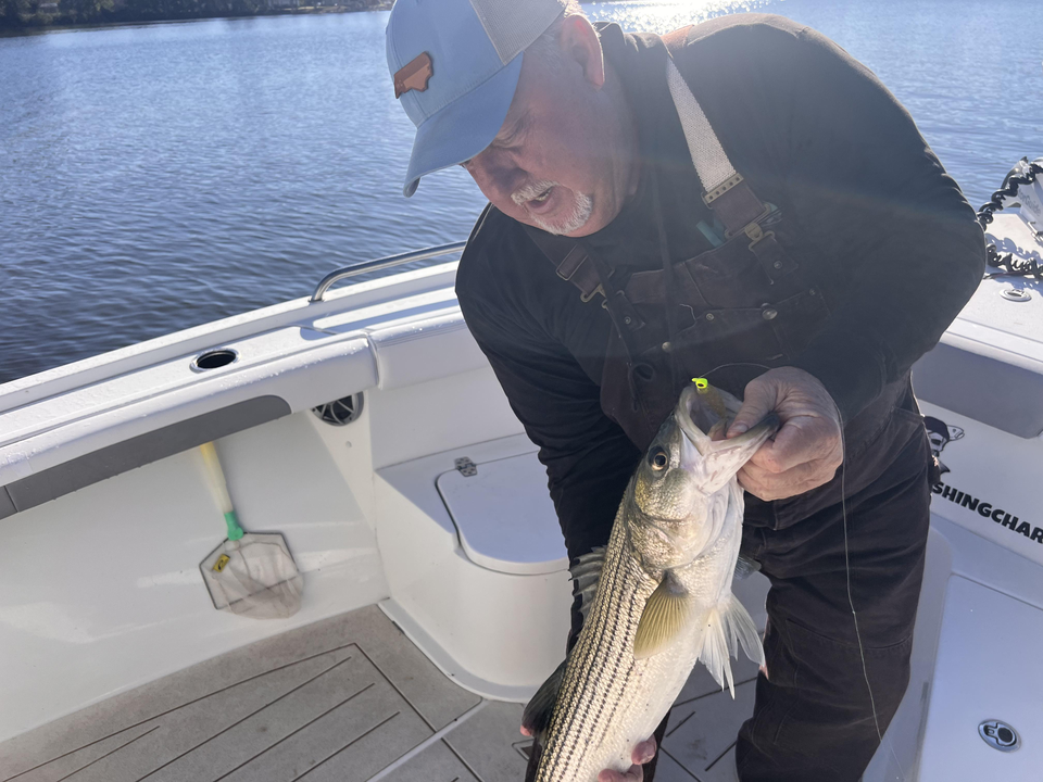 Nice striped bass on light tackle today!